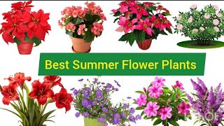 Best summer flower plants||Flowers for Summer||Summer Flowers Plants||Nature||Plants|Summer Flowers|
