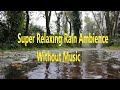 &quot; RAINDROPS &quot; Forest Rain Ambiance  : Sleep Meditation and Study, without Music - 10 Hours - 🌳