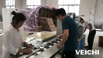 VEICHI SD700 Servo System using on the Fork Type Pillow Packing Machine