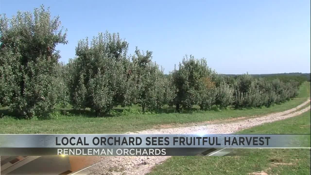 Spring At Rendleman Orchard Rendleman Orchard seeing fruitful harvest - YouTube