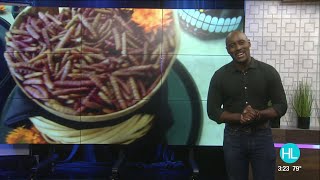 Eating bugs at Xochi | HOUSTON LIFE | KPRC 2