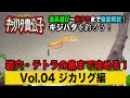 【キジハタ入門⑤ジカリグ】ロックフィッシュには欠かせないジカリグを水中映像で徹底解説。障害物の奥の奥まで攻略。【地球遊び#136】
