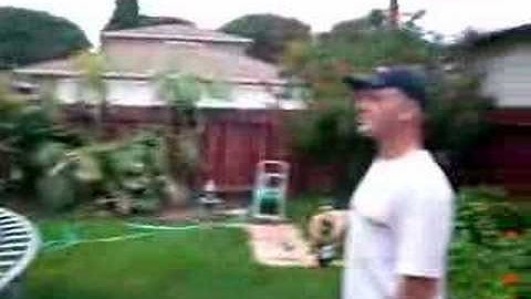 Daya on the trampoline