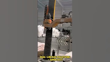 Dual LineBagPalletizing-Super fast🤗#depalletizing #automation #palletizer #palletizing #depalletizer