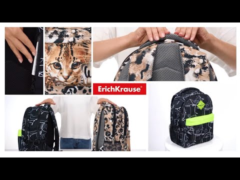 Ученические рюкзаки ErichKrause® EasyLine® 20L