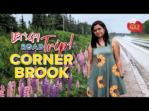 Nature's Beauty Unveiled: Embark on an Epic Road Trip to Corner Brook, Newfoundland, Canada