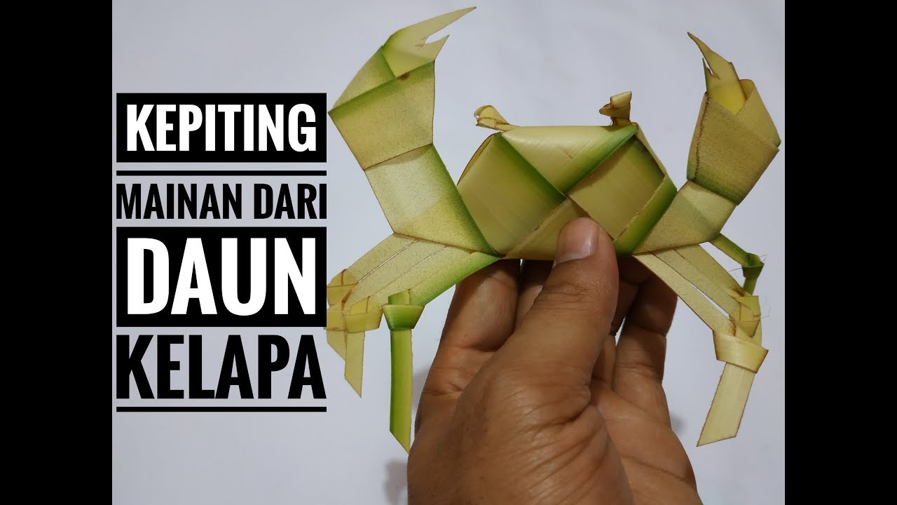  Cara  membuat  kepiting mainan dari  daun  kelapa YouTube