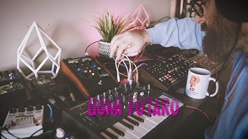 LIVE Chill Ambient Jam w/ Moog Subharmonicon, Elektron Model Cycles, Arturia & Microbrute