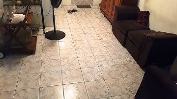 Wrap-up next Frd v3 1st  run