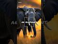 Elephant’s Amazing Trunk Power 🐘 | Learn English in 45s #learnenglish #animals