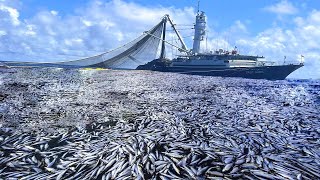 : Unbelievable Big Net, Net Fishing Catch Hundreds of Tons of Fish on Modern Boat
