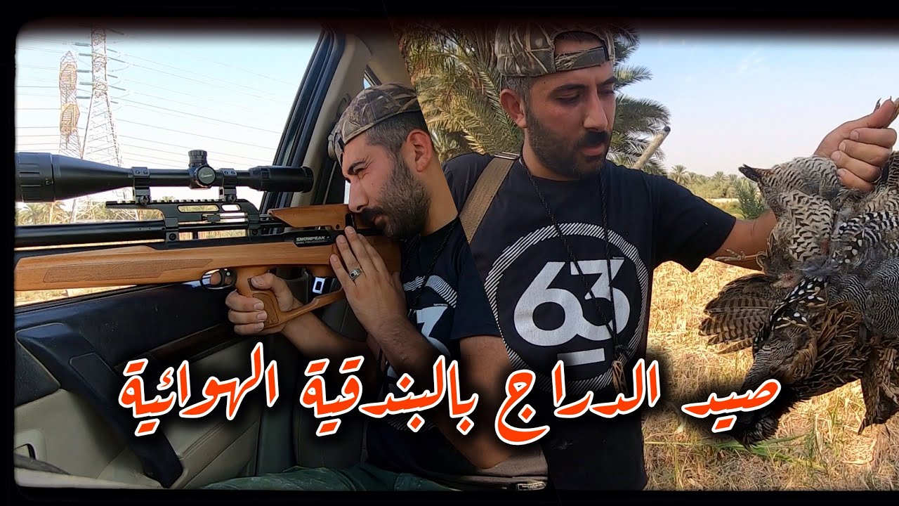 بداية صيد الدراج | شرح بندقية صيد P35 X