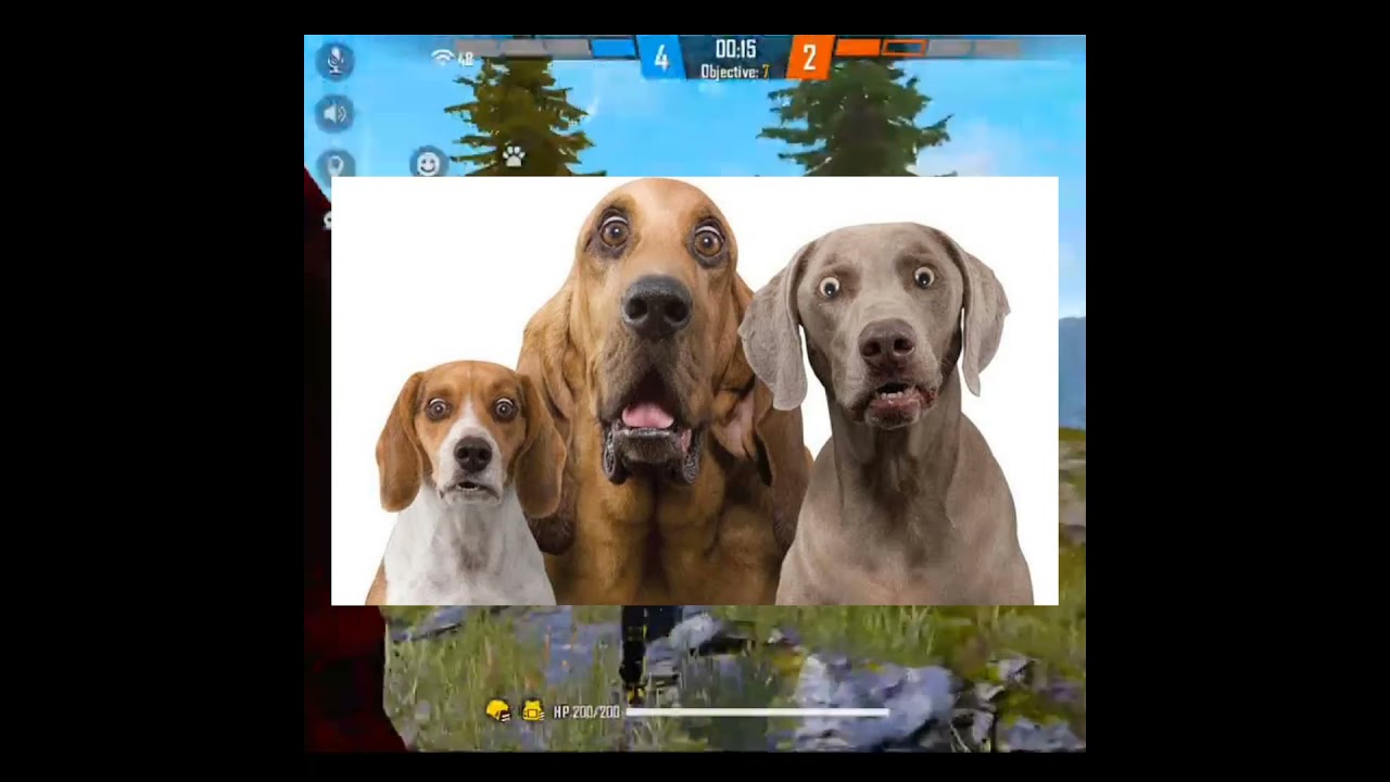 amazing fact about ff knife🤔|