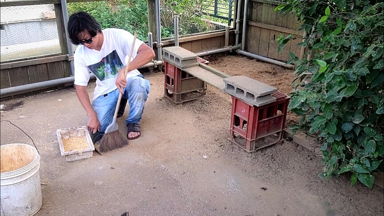 日常のおすそわけ