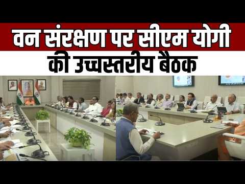 Yogi Adityanath forest meeting : वन संरक्षण पर सख्त योगी सरकार, अवैध कटान पर बड़ी कार्रवाई