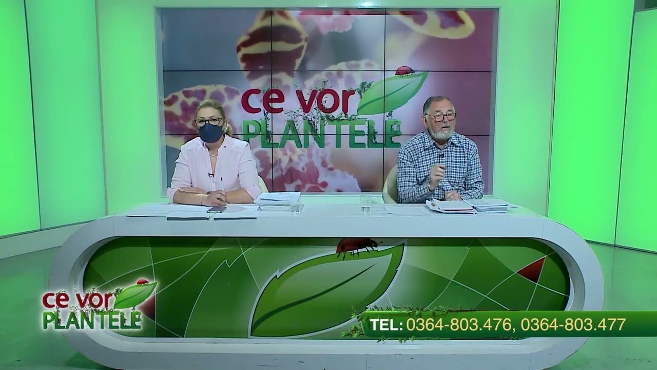 VIDEO Dr. Ing. Horia Ghibu - Sfaturi și tratamente pentru îngrijirea roșiilor 1 VIDEO Dr. Ing. Horia Ghibu - Sfaturi și tratamente pentru îngrijirea roșiilor YouTube player