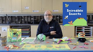 Learn & Create with LRC-South: Incredible Insects