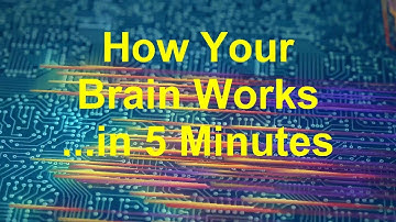 How Your Brain Works ...in 5 Minutes (2019 version)