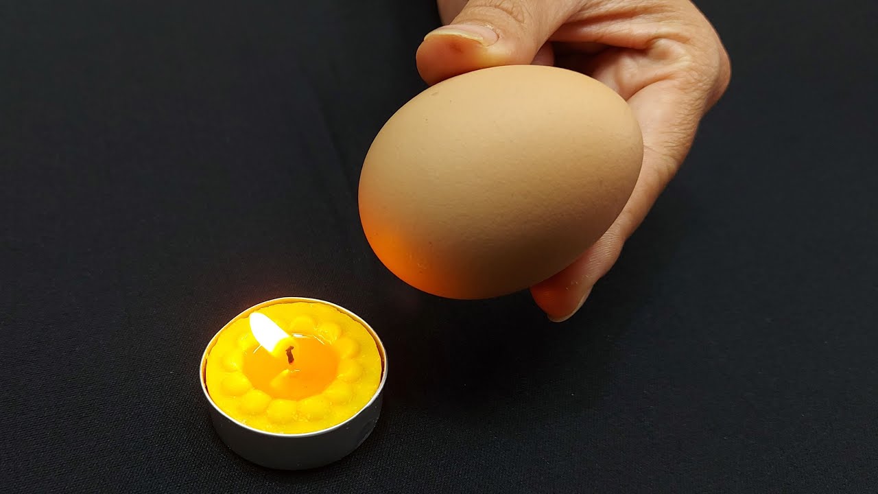 119 гениальных повседневных приемов, которые облегчат вам жизнь