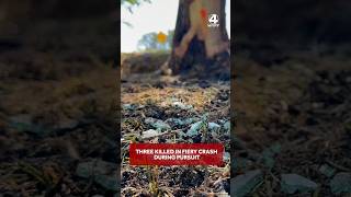 Coroner Three killed in fiery crash while fleeing law enforcement