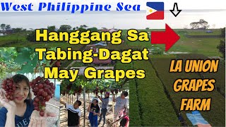 Ganito Pala Kadami ang Grapes  Grapes Farm in Bauang, La Union | BaguioNaguilian RoadTRIP