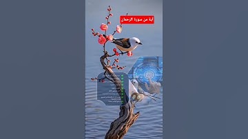 اللهم اجعل القرآن الكريم شفيعا لنا#يوم القيامة #اكسبلور #دويتو اللهم امين يارب العالمين