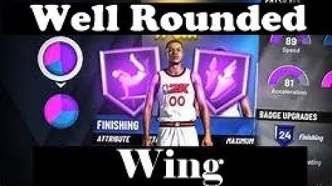 BEST WING BUILD NBA2K20 WELL ROUNDED WING + BADGE SUGGESTIONS