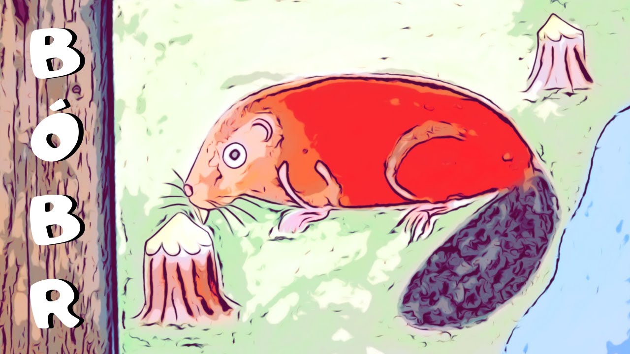 Jak Narysować Bobra. Nauka rysowania ołówkiem i kredkami pastelowymi 🖍🖍 ...