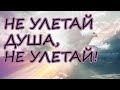 &quot;Не улетай, Душа&quot;- прекрасная песня Анатолия Доровских в нашем живом исполнении!