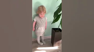 Манго и авокадо .