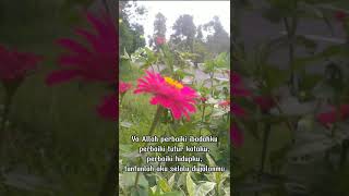 Download Lagu Ya Allah perbaiki ibadah ku perbaiki tutur kata ku perbaiki hidup. Aamiin MP3