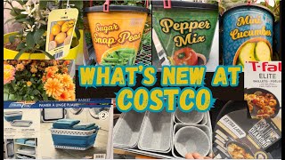 WHAT’S NEW AT COSTCO! SHOP WITH ME! by Samanthashoppingshow 1,800 views 3 weeks ago 9 minutes, 20 seconds