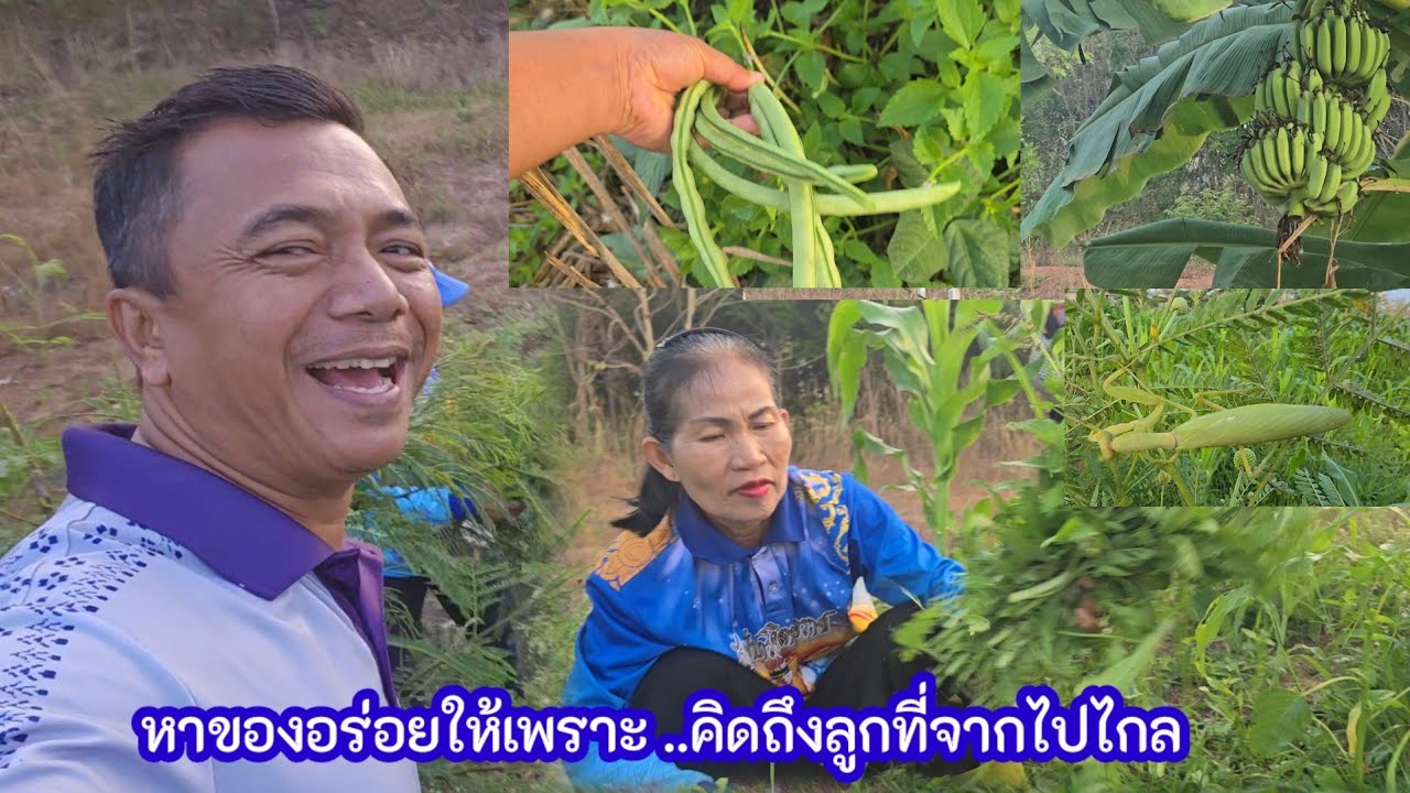 แม่ดาน้ำตาไหล คิดถึงลูกที่อยู่ไกลต้องหาของอร่อยฝากไปให้.. ใครจะไป4ก.