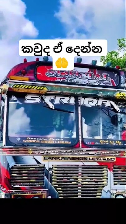 😯 WOW #travel #automobile #tour #dubai #bus #busrace #music #trending #driving #shortsfeed #shorts