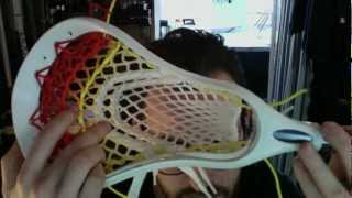 Kyle's Warrior Evolyte with Throne Mesh Knight Pocket