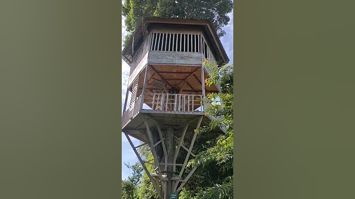 rumah pohon mewah ditengah hutan #bushcraft  #pendakiindonesia