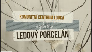 Tvůrčí dílna | Ledový porcelán