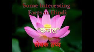"कमल के फूल" के बारे में 18 रोचक तथ्य | 18 Interesting Facts about "Lotus Flower" in Hindi