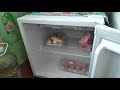 обзор холодильника willmarks2021🍧🎂🌡️🧴