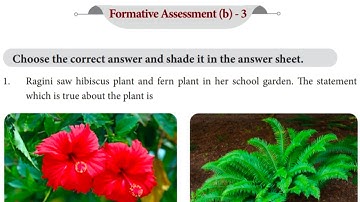 EE 4th std Science Term 2 formative assessment  workbook answers/ 4th science FA(b) - 3 answers 