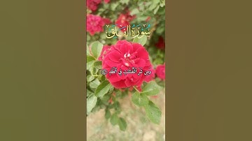 الشيخ سعد الغامدي سورة الفلق حالات واتساب استوريات القران الكريم #pubgmobile #picsart
