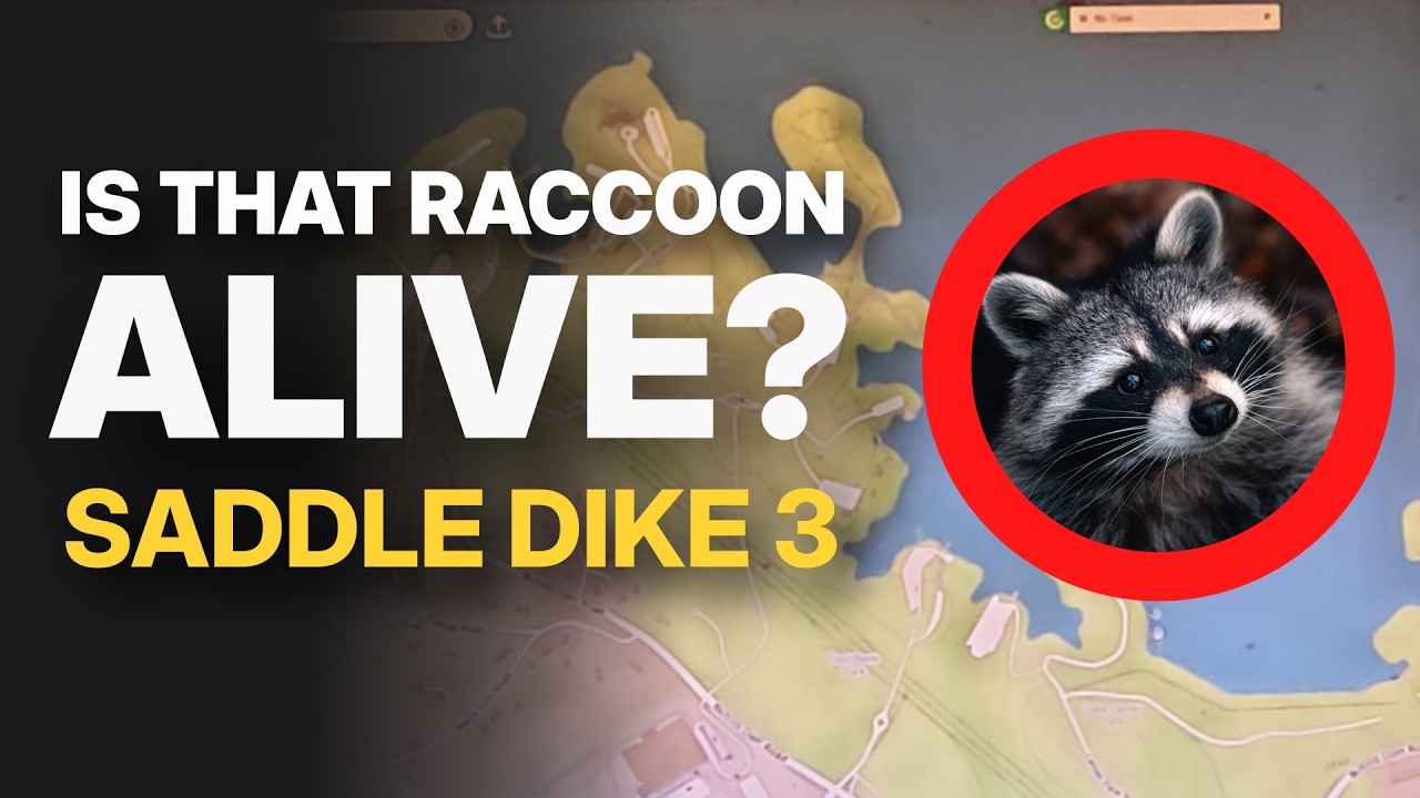 Raccoons, Dead Stripers, and Another Bank Fishing Skunk // Cast & Shoot