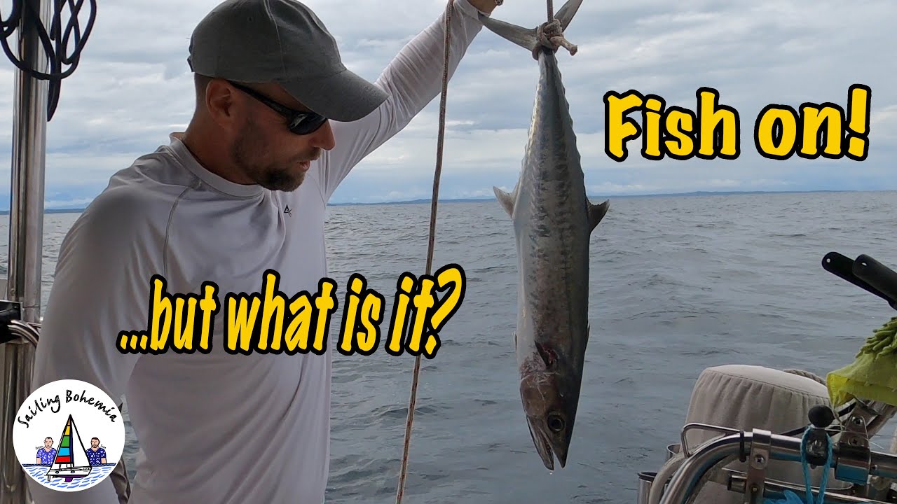 Fish on! Sailing Bohemia Ep.174