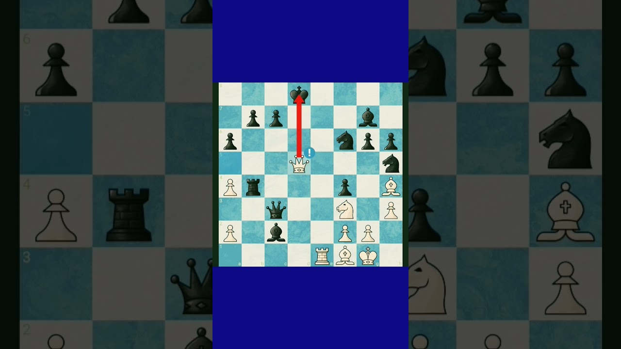 "Checkmate Symphony" 