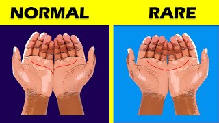 I Will Read Your Palm and Tell You What it Means