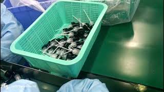 Celebrity one stop packaging solution supplier.mp4 Net Worth
