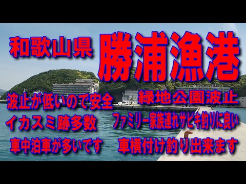 #15和歌山県勝浦漁港緑地公園波止波止が低いので釣りやすいです車横付け釣り出来ますファミリー家族連れサビキ釣りに良いイカスミ跡多数先程までチヌ釣り人がいましたダンゴ釣りの人が多い波止水道水使えます