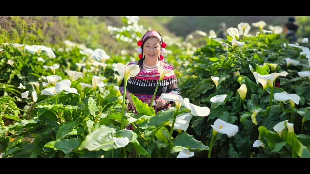 Xav Mus Tsis Xav Los ( covered by Courtney Lee) February 26, 2026