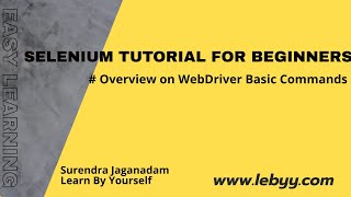 Overview on basic commands || Selenium Tutorial for Beginners