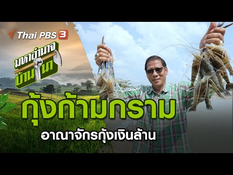 วีดีโอ: กุ้งคริสตัลแดง - คำอธิบาย เนื้อหา และข้อเท็จจริงที่น่าสนใจ